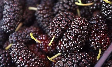 人體黑色素缺失的原因?黑色素缺失白斑吃什么?